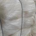 Fibres de sisal de haute qualité produites