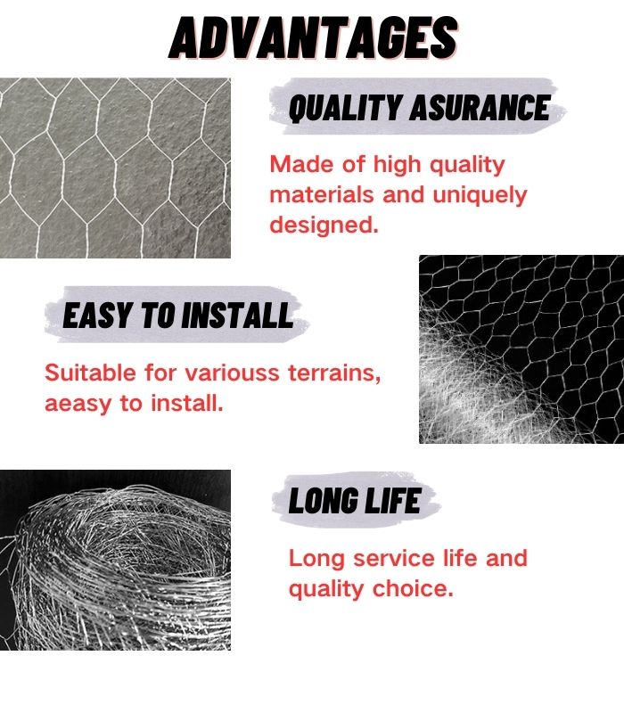 hexagonal wire mesh