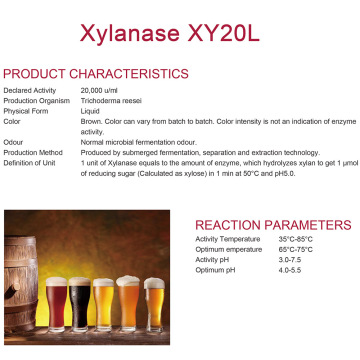 Xylanase for alcohol industry