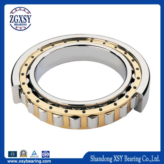 Auto Spare Parts/Cylindrical Roller Bearing