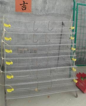 Galvanized layer cages for poultry farms