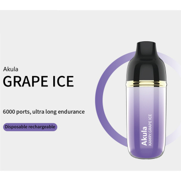 Vaporisateur de vape jetable Kamry Akula 6000 Puffs