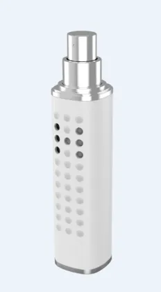 New Beauty Device Home Use Hydrogen Water Sprayer