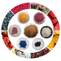 100% Natural Instant Fruit Juice Concentrate Powder