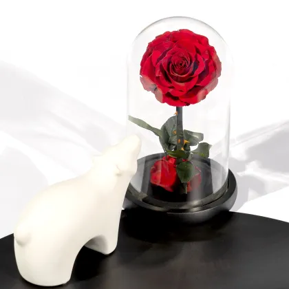 Factory Direct Wholesale: Immortal Rose Gift Boxes & Fresh Cut Flowers