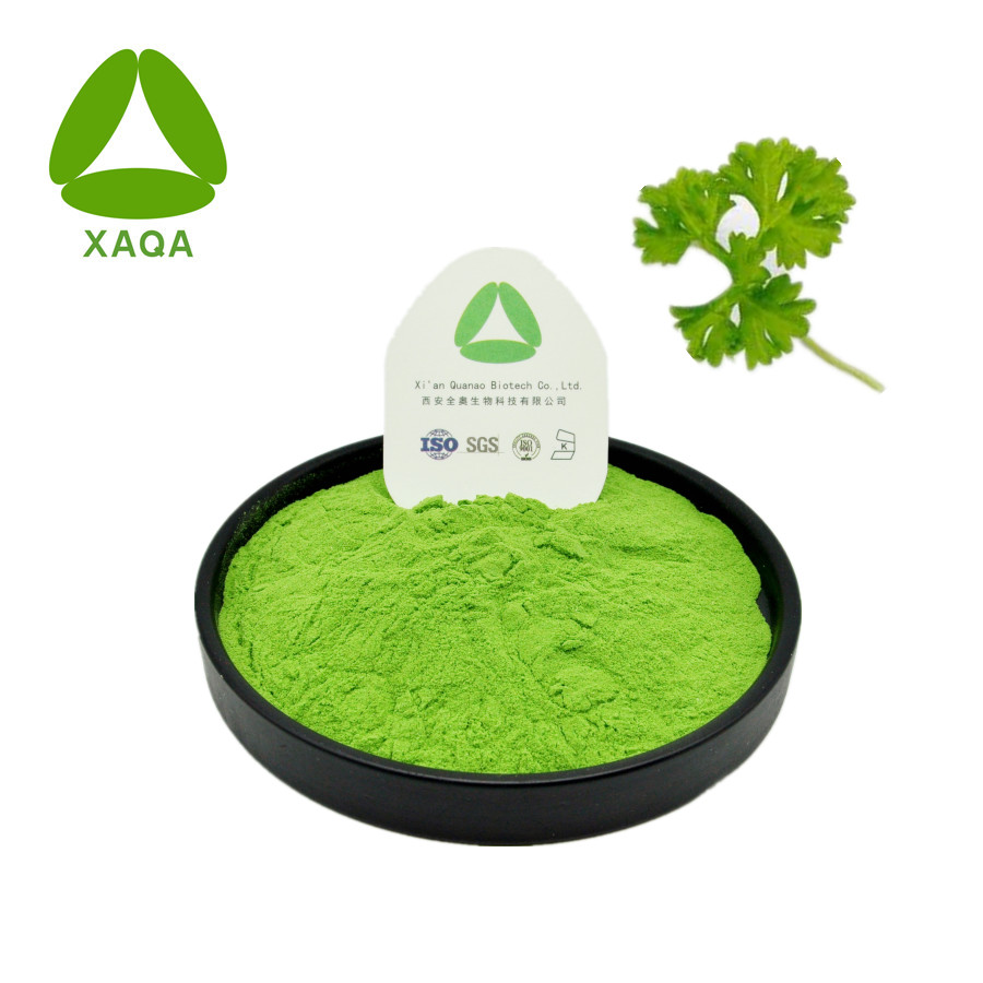 Parsley Powder Green Food and Beverage Additives