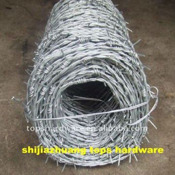 double wire barbed wire