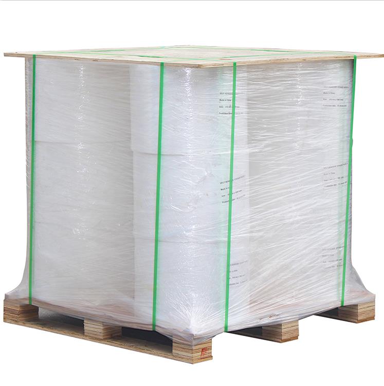 Nhãn Semigloss Nhiệt nhiệt PP Film