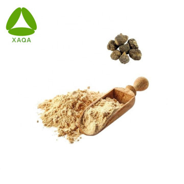 Organische rode Maca Extract Red Maca Root Powder