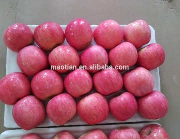 Shandong Fresh Red Fuji Apple-Blush