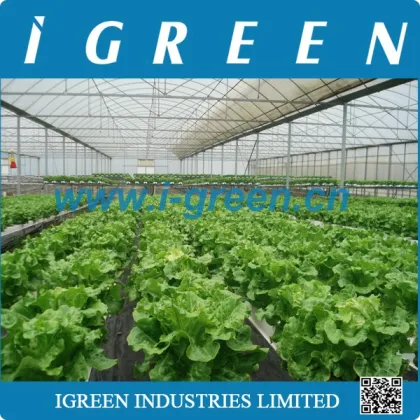 Agricultural PVC hydroponics growing systems