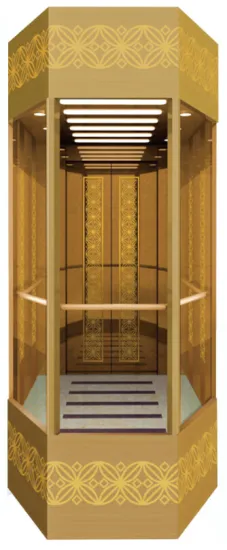 Panoramic elevator