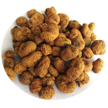 Rhizoma Corydalis Extract 98% Tetrahydropalmatine