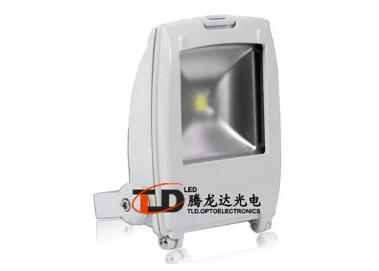 Cool White 10w Ip65 Outdoor Led Flood Lights , Amber 50 / 60hz