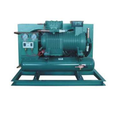 Competitively Priced Commercial Kitchen Cold Room Solutions with Inverter Air-Cooled Compressor Condensing Units