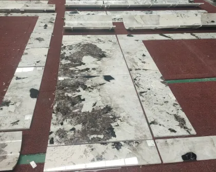 Luxury Brazilian Patagonia Granite Quartzite Countertops & Tiles - Modern White Stone Interior Decor