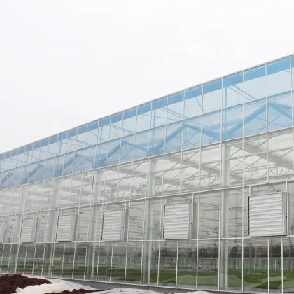 Fully Automatic Smart Greenhouse: MYXL Commercial Agriculture Glass Greenhouse