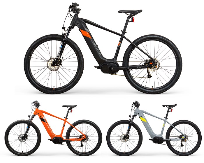 Individuelles motorisiertes Mountainbike