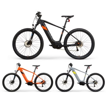 Individuelles motorisiertes Mountainbike