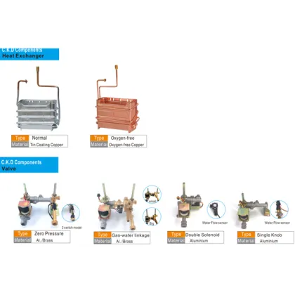 Latest Inse Low Pressure Bosch Domestic Instant Gas Water Heater