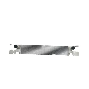Chinese-made Automotive Intercooler Core for Light Trucks - Part Number 1109300R0042