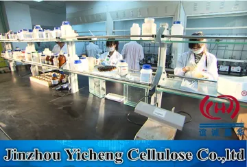 HPMC Chemical Powder for Building