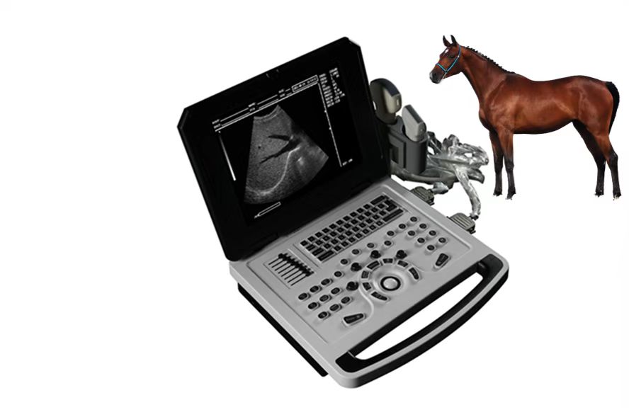 Scanner de ultrassom B notebook para cavalo de porco de ovelha