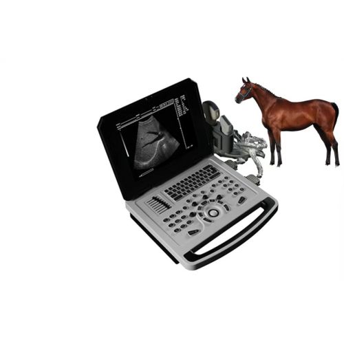 Scanner de ultrassom B notebook para cavalo de porco de ovelha