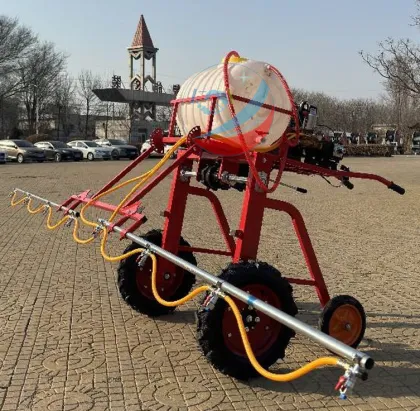 High Quality Gasoline Engine Power Spraying Machine Hand Boom Sprayer