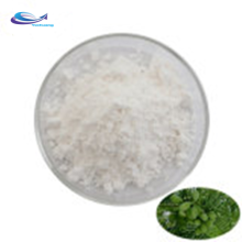 sell ephalotaxus fortune extract Powder Homoharringtonine