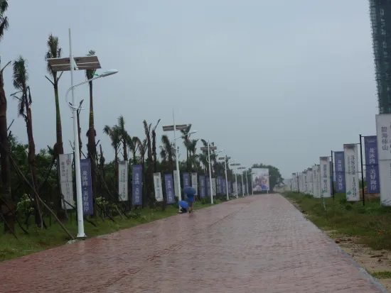 Off Grid Solar 115w Street Lighting Three Phase Permanent Magnet Alternator 40℃ - 70℃