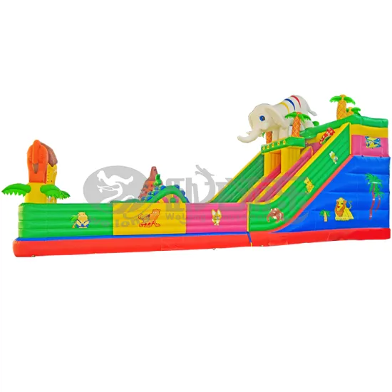 Outdoor Professional bouncer inflatable