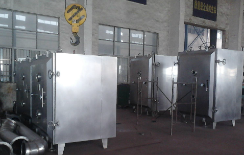 Gulay at prutas vacuum tray dryer na may singaw