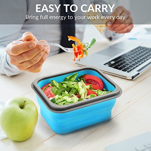 Silicone folding microwave oven lunchbox