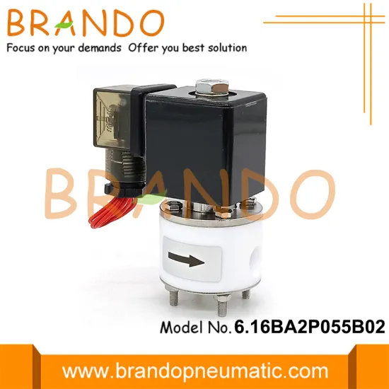 1/4'' PTFE Body Anti-Corrosion Solenoid Valve 24V 220V