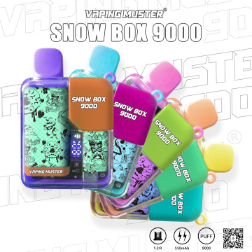 Snow Box Vape 9000 Puffs