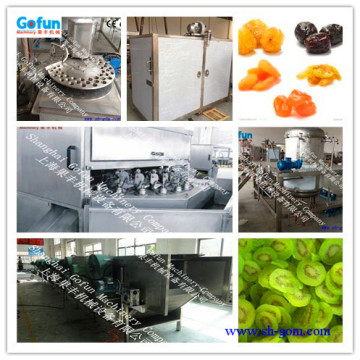 industrial dried fruit production line manufactured in shanghai gofun