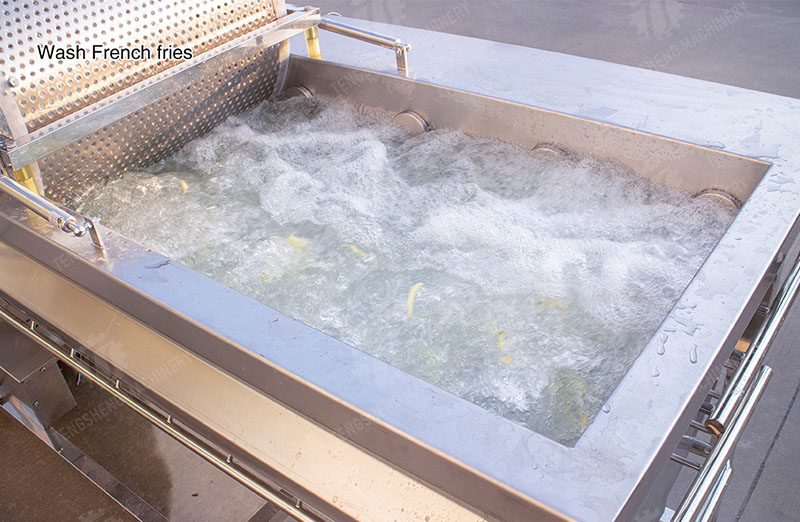 continuous vegetable washing machine