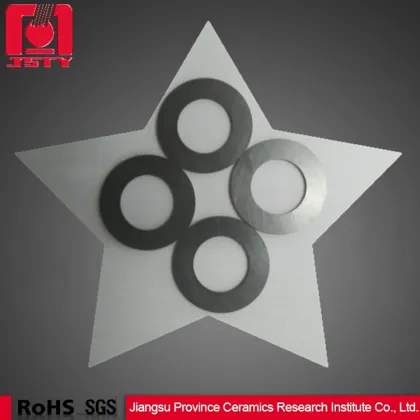 thin black plate ziconia ceramic washer