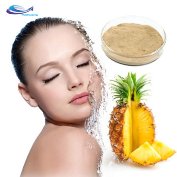Best Quality and Price Pineapple Extract Powder Bromelain