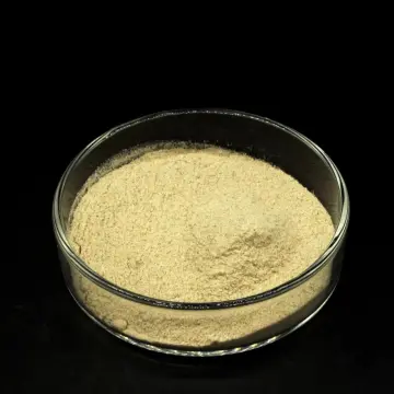 nutrition immune extract beta glucan yeast cell wall