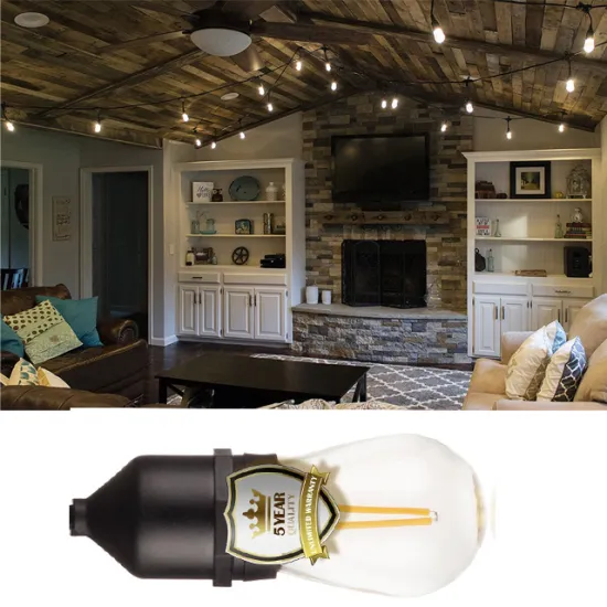 Indoor hanging outdoor Garden patio waterproof globe led string lights with S14 led bulb metal shades