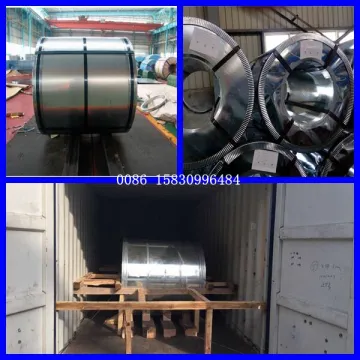 SGCC Hot Dipped Galvanized Shandong Steel Coil