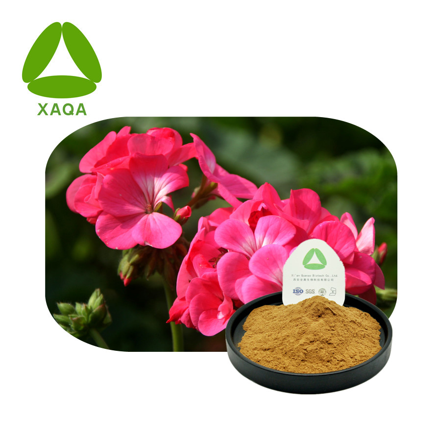 Geranium Root Powder Jpg