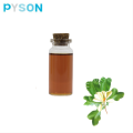 Magnolia Officinalis oil 15%