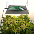 Luci di coltivazione a LED indoor per le piante mediche che crescono