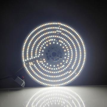 RGB ha condotto la scheda luminosa InGaN materiale del chip Ingan