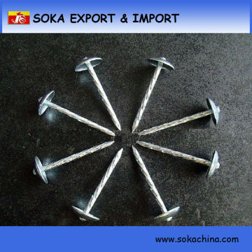Cheap products umbrella head twisted roofing nails