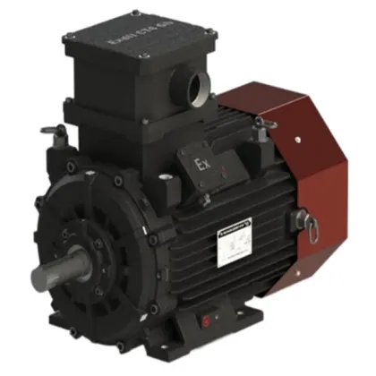 YFB5 Dust Explosion-proof Three-Phase Asynchronous Motor