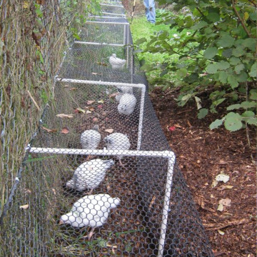 Galvanzied Hexagonal Rabbit Wire Fencing